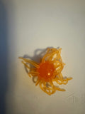 Tangerine Glow Urchin Bait 2 Pack