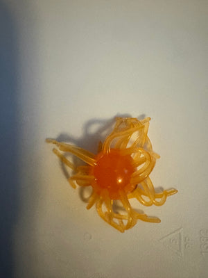 Tangerine Glow Urchin Bait 2 Pack