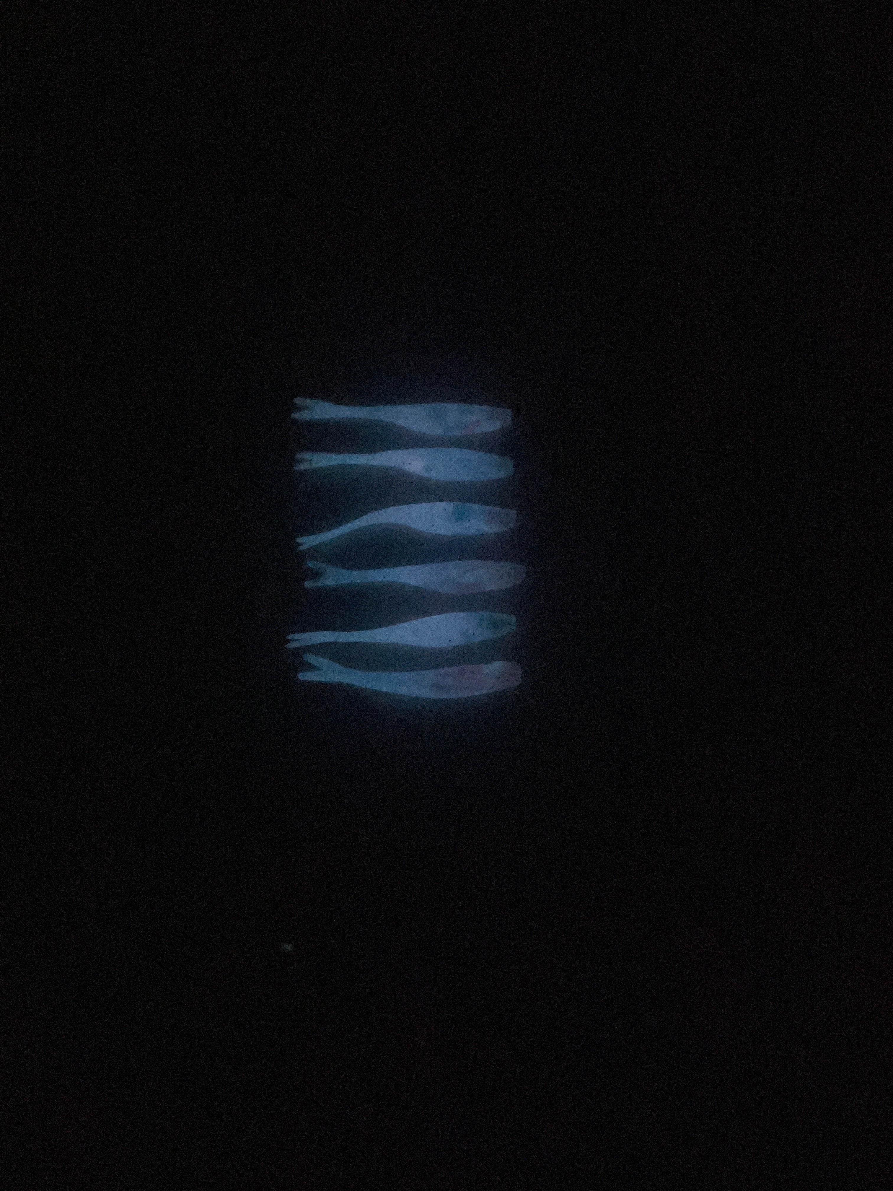 Troll surprise with Glow 2 inch Tracer Shads
