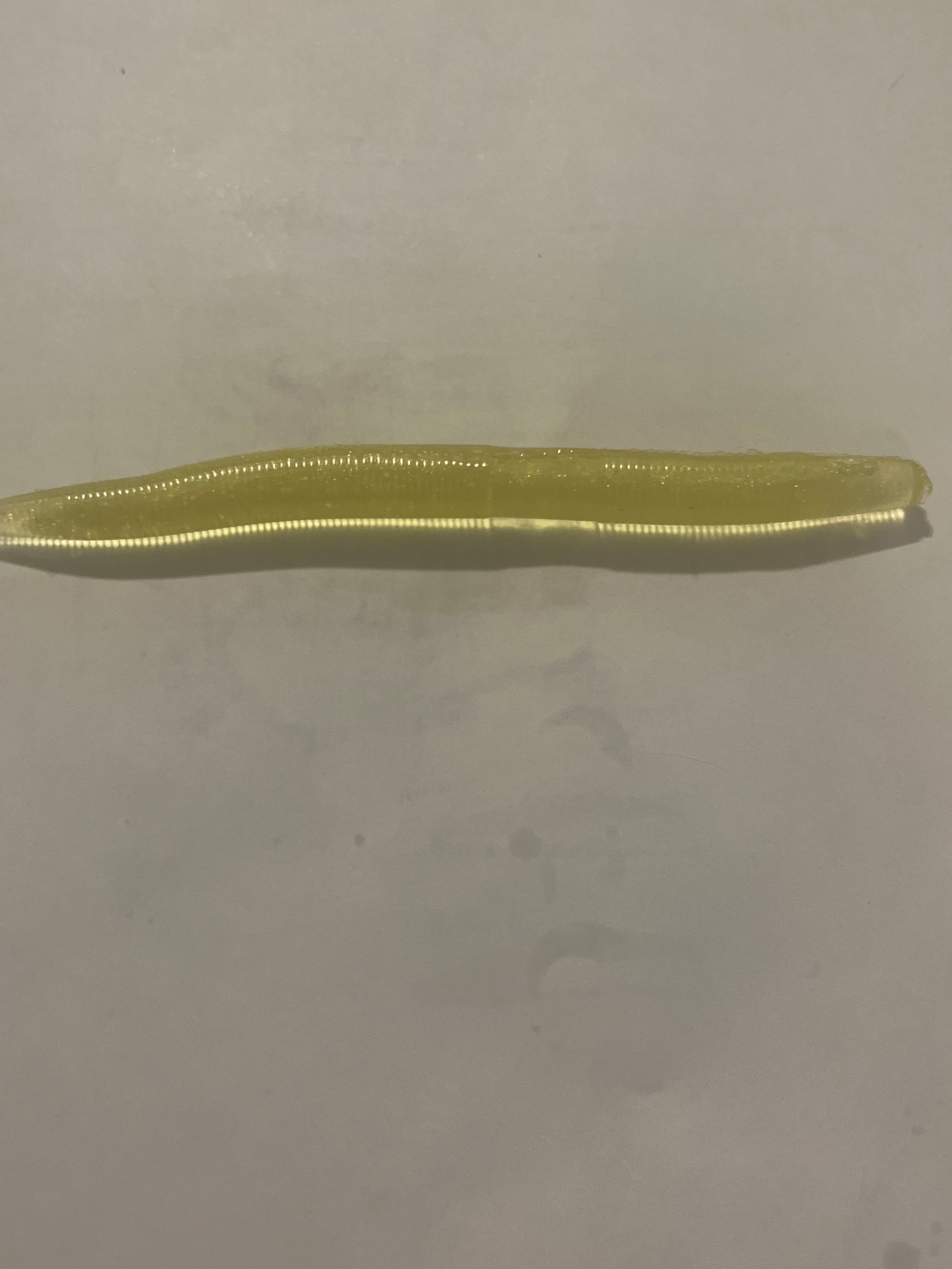 Lightening Yellow Senkos