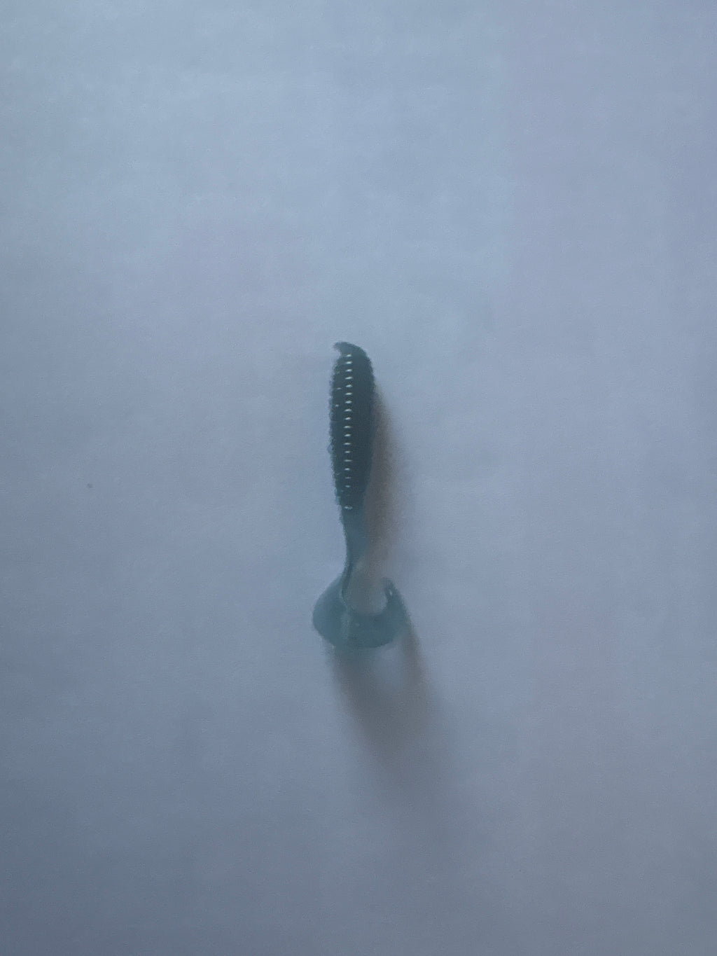 Haribo 2 inch Crappie Grubs