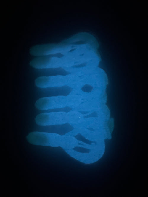 Blue/Grey Crawfish GLOW