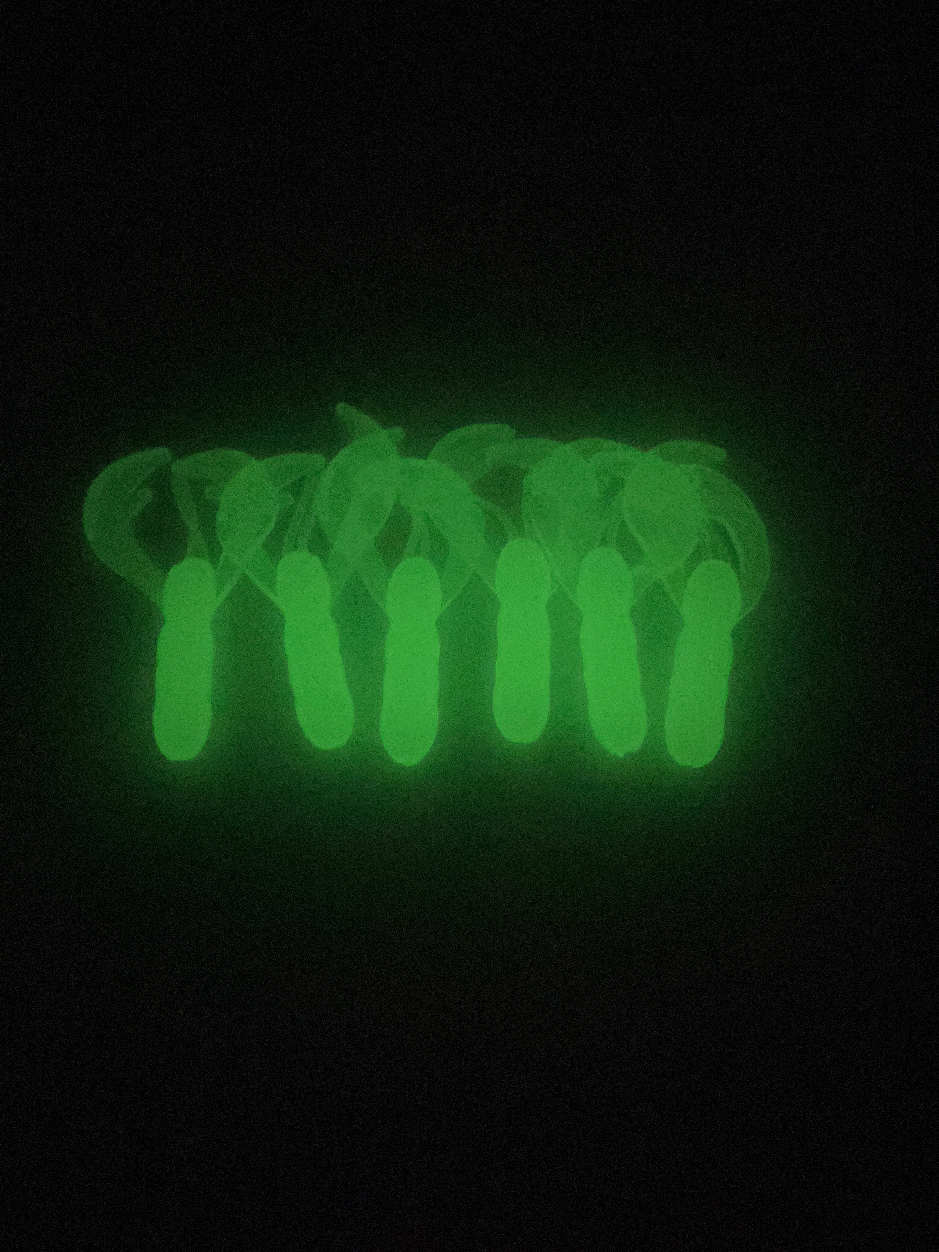 Clear Glow Crawdads