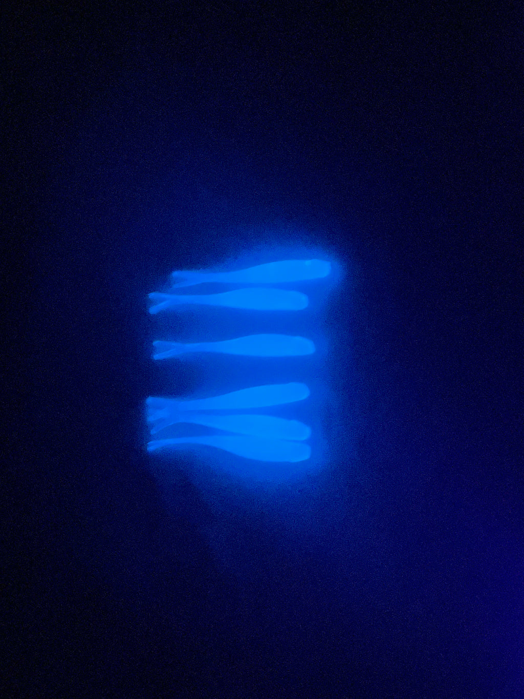 Natural and Blue Glow 2 inch Tracer Shads