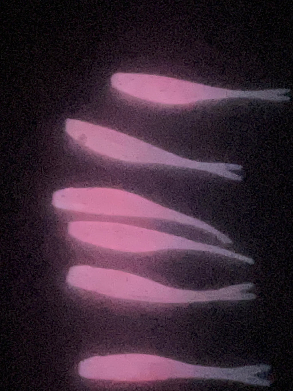 Bubblegum Pink and GLOW 2 inch Tracer Shads